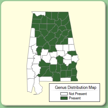 Genus Distribution Map