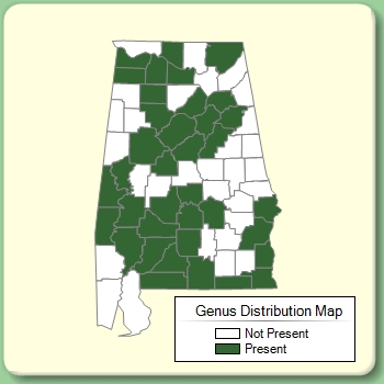 Genus Distribution Map