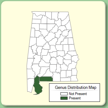 Genus Distribution Map