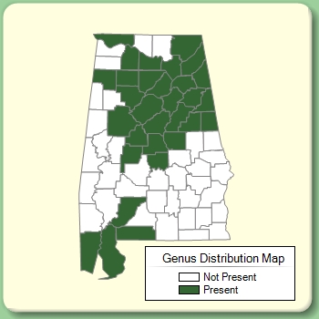 Genus Distribution Map