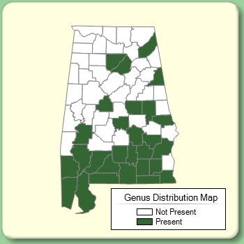 Genus Distribution Map