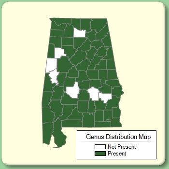 Genus Distribution Map