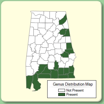 Genus Distribution Map