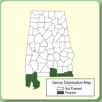 Genus Distribution Map