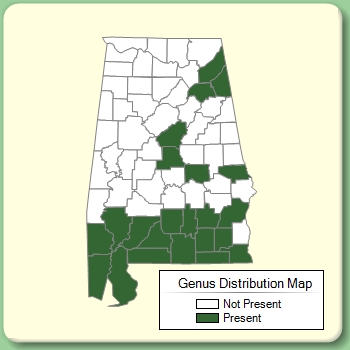 Genus Distribution Map