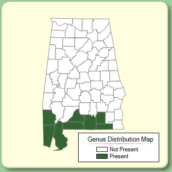 Genus Distribution Map