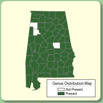 Genus Distribution Map