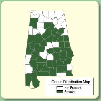 Genus Distribution Map