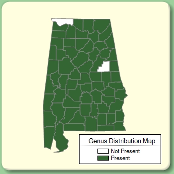 Genus Distribution Map