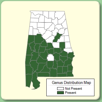 Genus Distribution Map