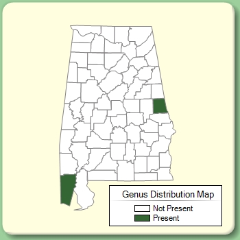 Genus Distribution Map