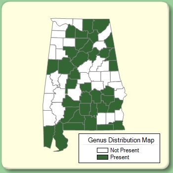 Genus Distribution Map