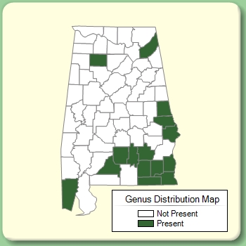 Genus Distribution Map