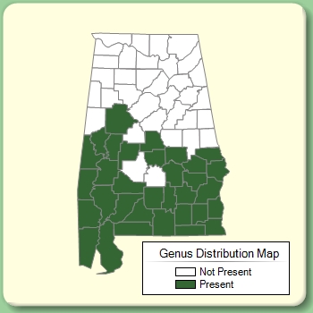 Genus Distribution Map