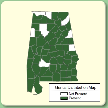 Genus Distribution Map