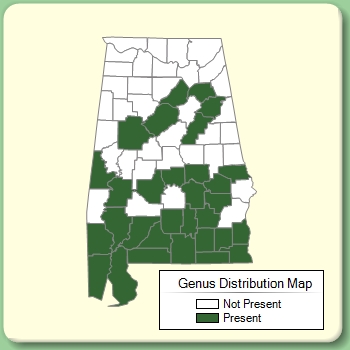 Genus Distribution Map