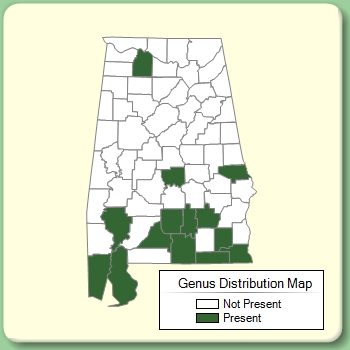 Genus Distribution Map