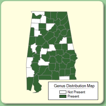 Genus Distribution Map