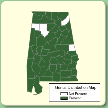 Genus Distribution Map