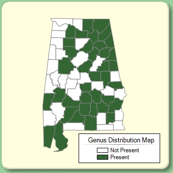 Genus Distribution Map