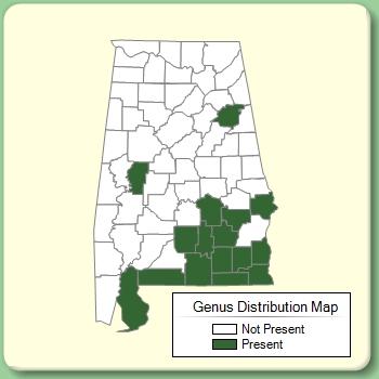 Genus Distribution Map