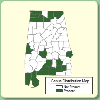 Genus Distribution Map