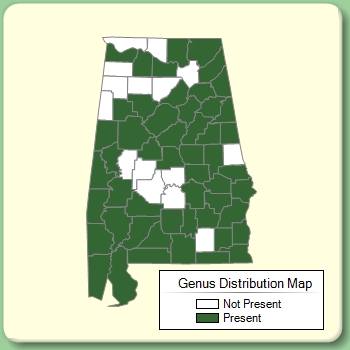 Genus Distribution Map