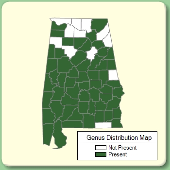 Genus Distribution Map