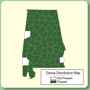 Genus Distribution Map