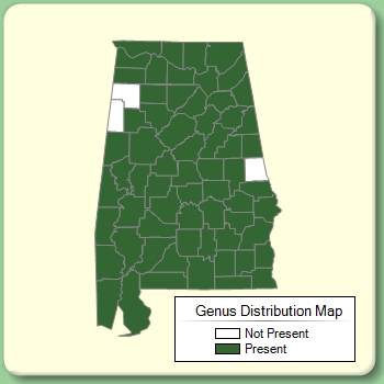 Genus Distribution Map