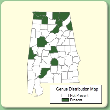 Genus Distribution Map