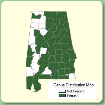 Genus Distribution Map