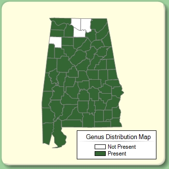 Genus Distribution Map