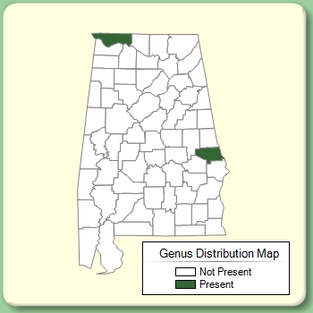 Genus Distribution Map