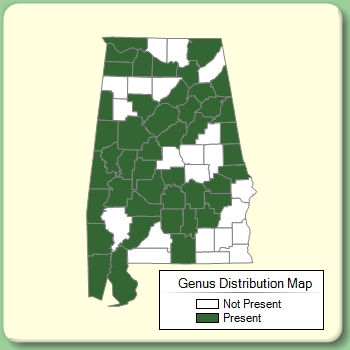 Genus Distribution Map