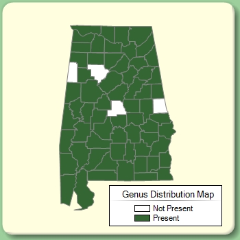 Genus Distribution Map