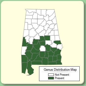 Genus Distribution Map