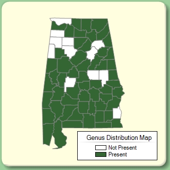 Genus Distribution Map