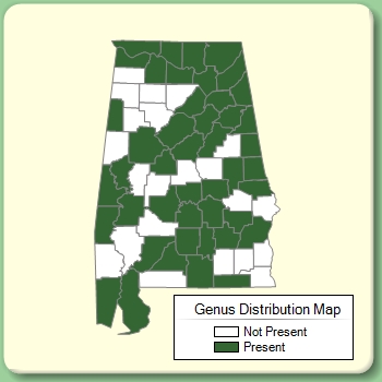 Genus Distribution Map