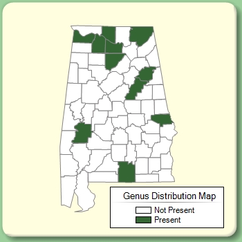 Genus Distribution Map