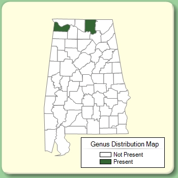 Genus Distribution Map