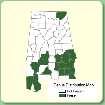 Genus Distribution Map