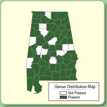 Genus Distribution Map