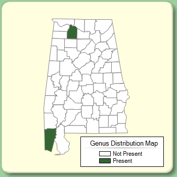 Genus Distribution Map