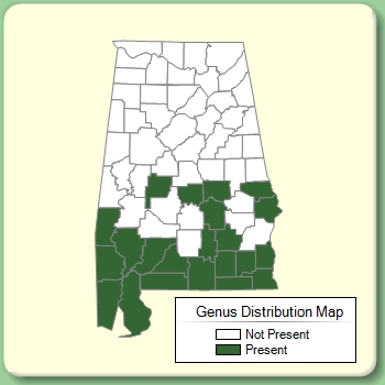 Genus Distribution Map