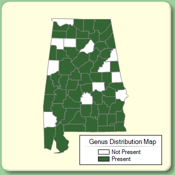 Genus Distribution Map