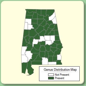 Genus Distribution Map