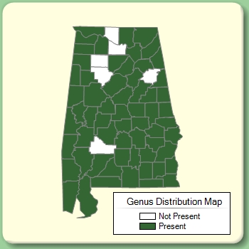 Genus Distribution Map