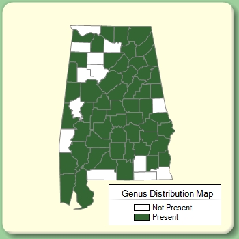 Genus Distribution Map