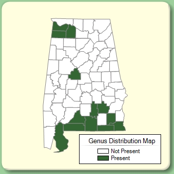 Genus Distribution Map